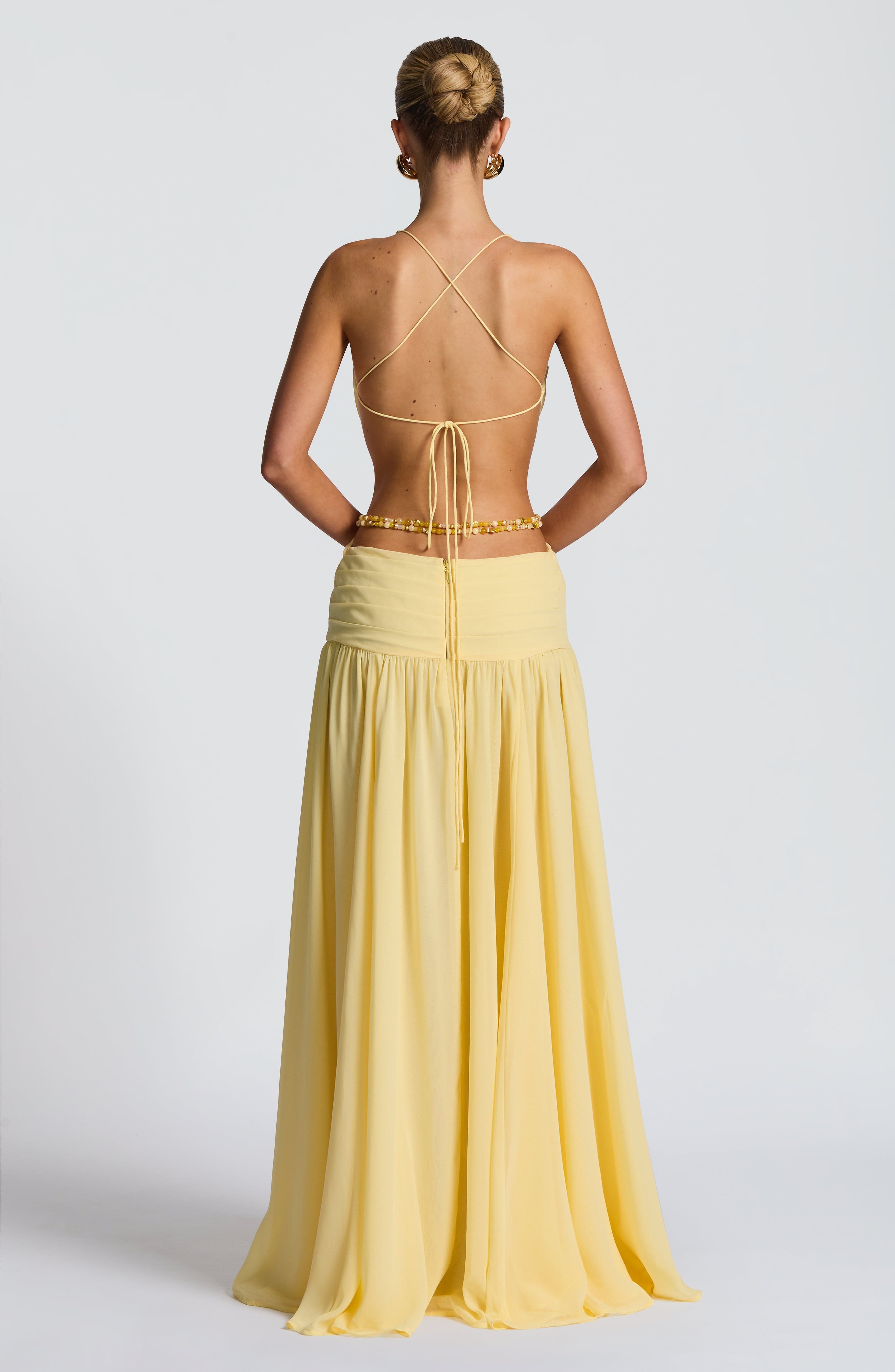 Indianna Maxi Dress Lemon Chiffon Plunge Neck Orchid Brooch Backless - Image 3